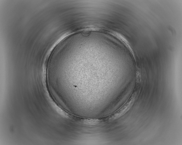 X0000112980859200909101713