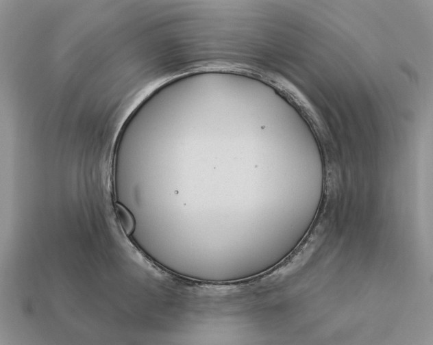 X0000112980860200909101713