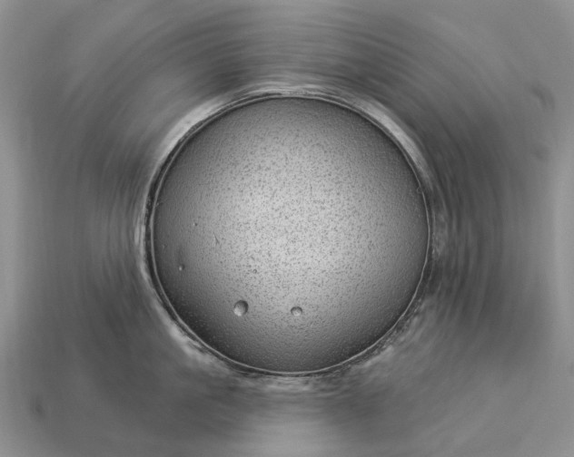 X0000112980861200909101713