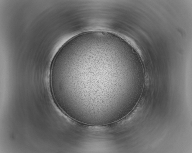 X0000112980863200909101713