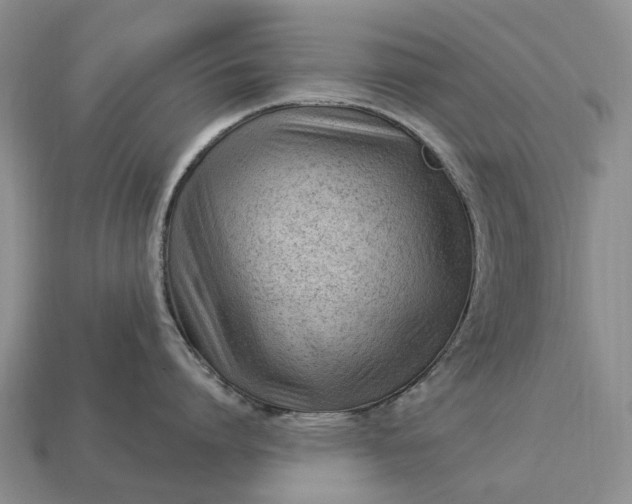 X0000112980864200909101713