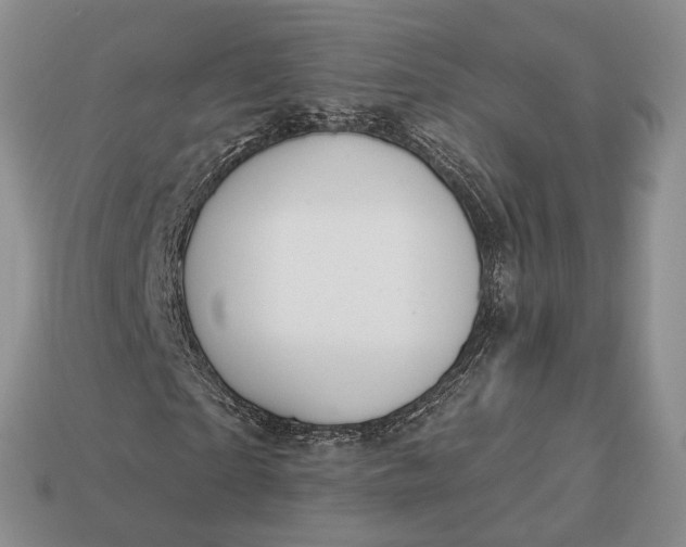 X0000112980865200909101712