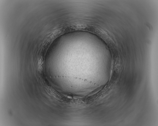 X0000112980866200909101712