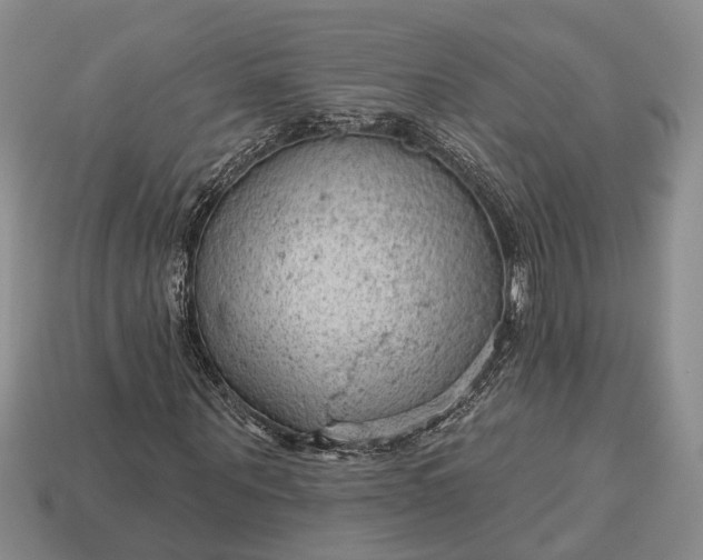 X0000112980867200909101712