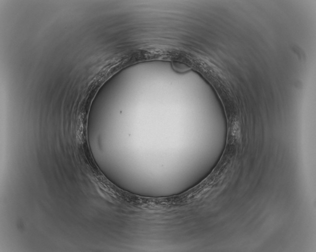 X0000112980868200909101712