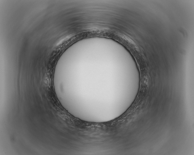 X0000112980869200909101712