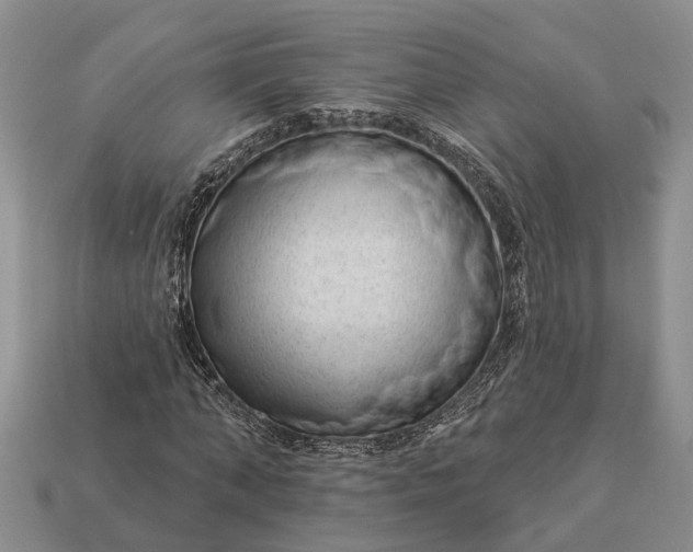 X0000112980870200909101712