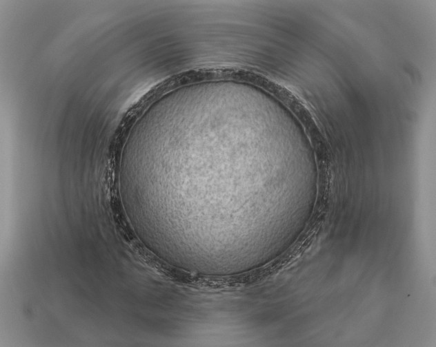 X0000112980871200909101712