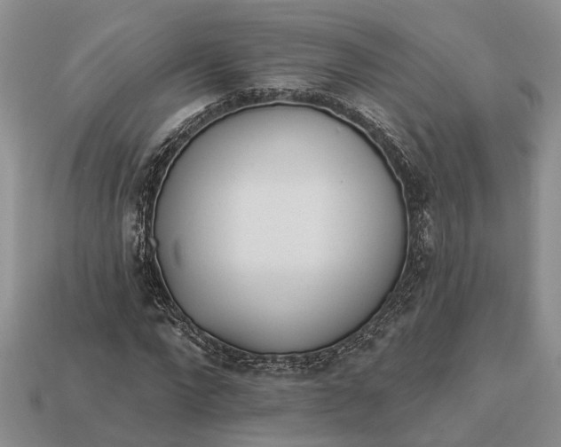 X0000112980872200909101712