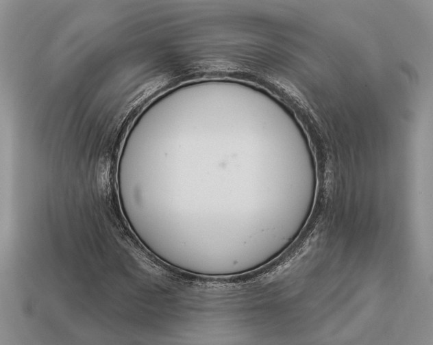 X0000112980873200909101712