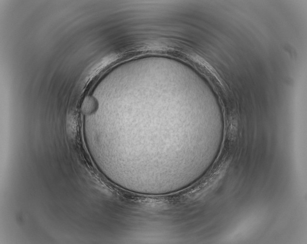 X0000112980874200909101712