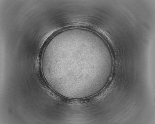 X0000112980875200909101712