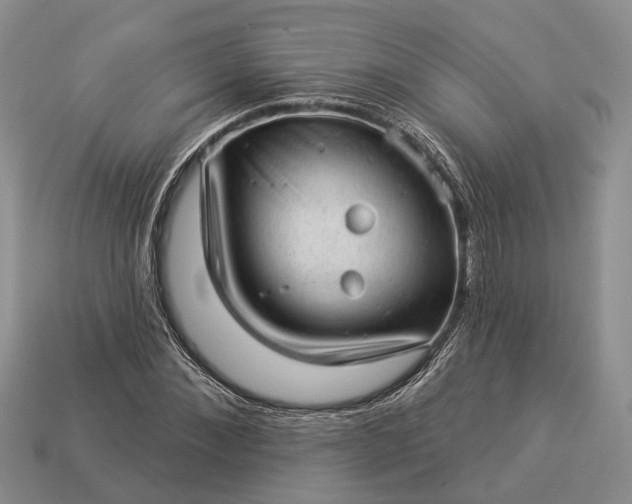 X0000112980876200909101712