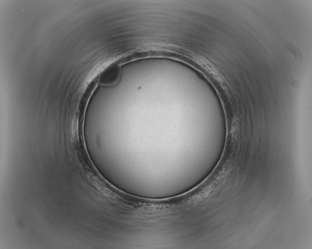 X0000112980877200909101712