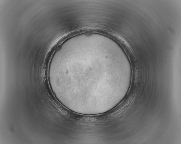 X0000112980878200909101712