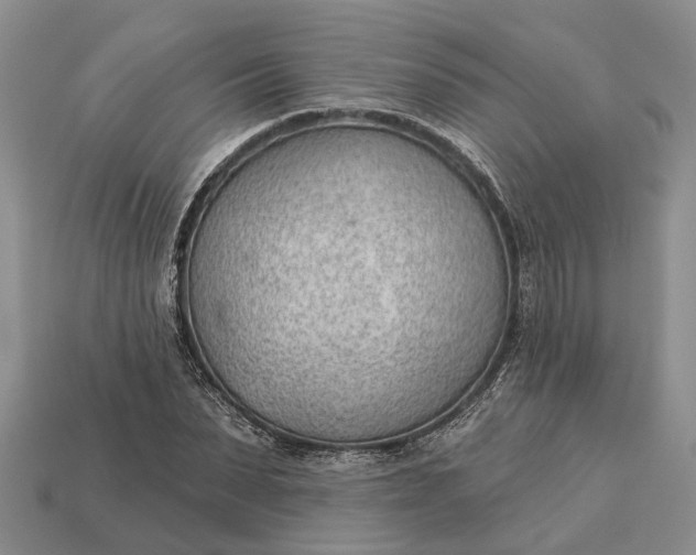 X0000112980879200909101712