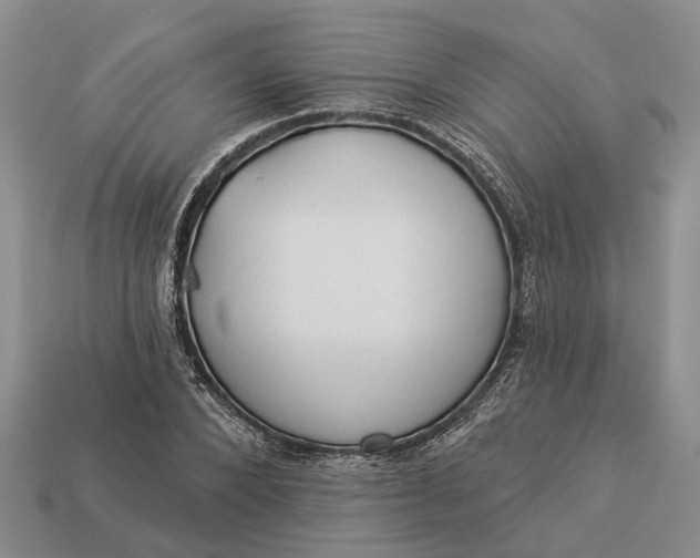 X0000112980880200909101712