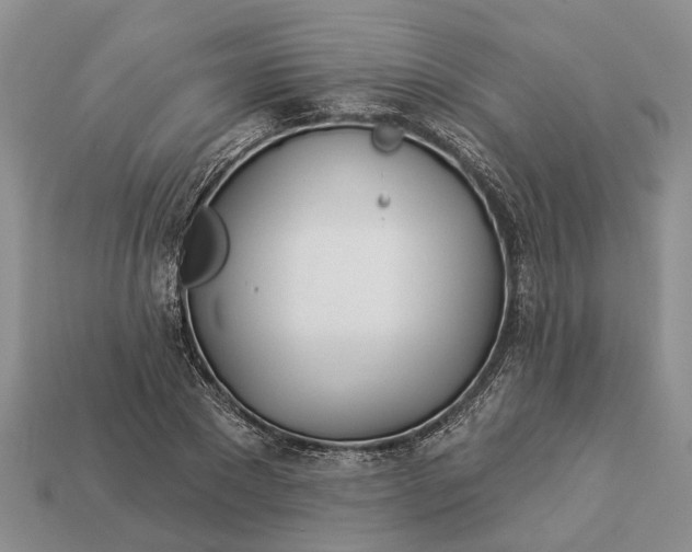 X0000112980881200909101712