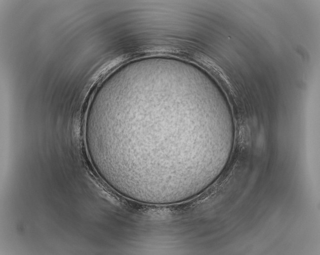 X0000112980882200909101712