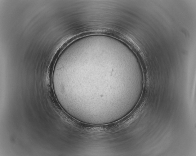 X0000112980883200909101712