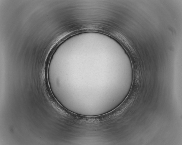 X0000112980884200909101712