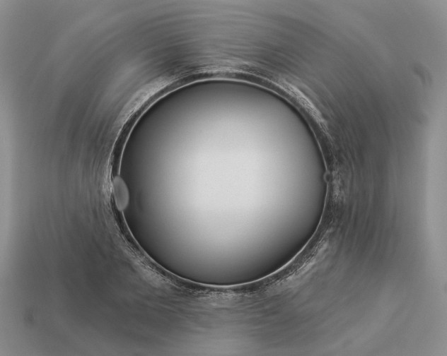 X0000112980885200909101712