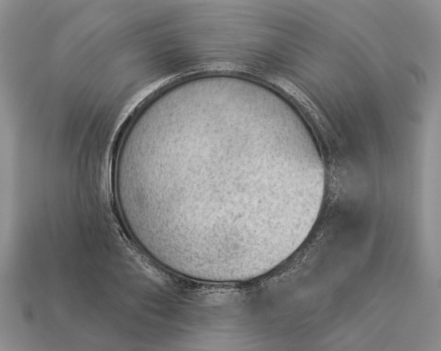 X0000112980886200909101712