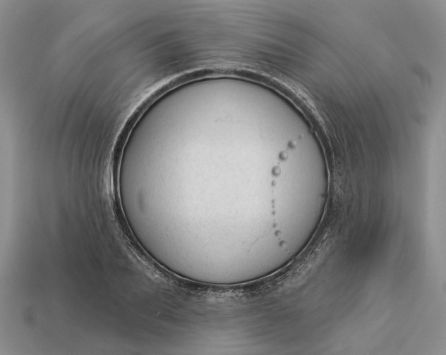 X0000112980887200909101712