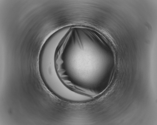 X0000112980888200909101712