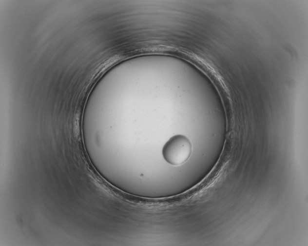 X0000112980889200909101712