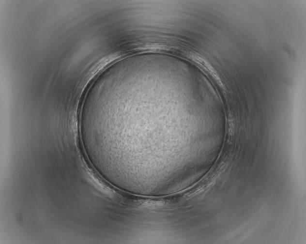 X0000112980890200909101712