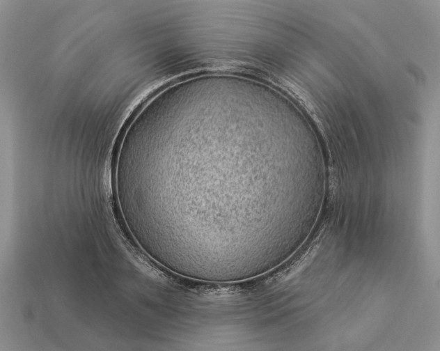 X0000112980891200909101712