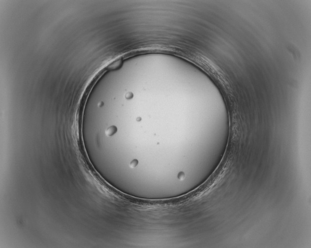 X0000112980892200909101712