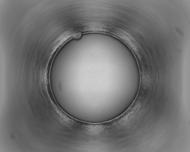 X0000112980893200909101712