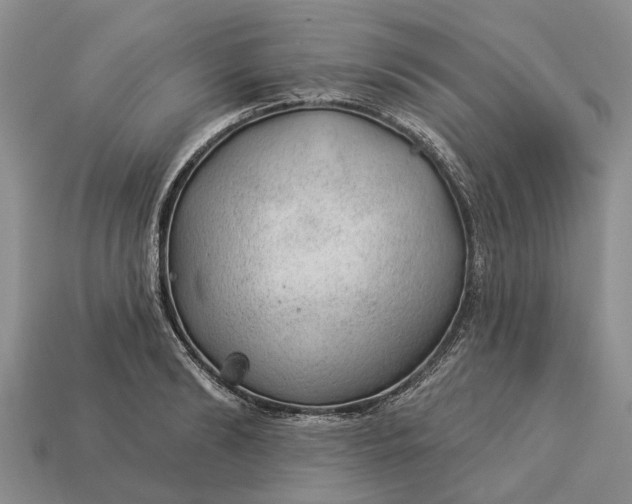 X0000112980894200909101712