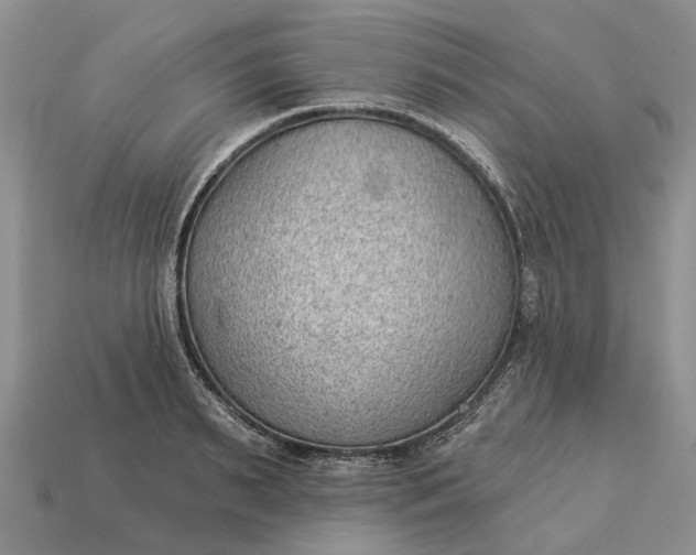 X0000112980895200909101712