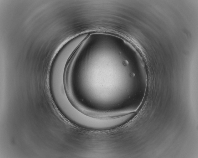 X0000112980896200909101712