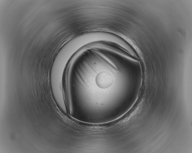 X0000112980897200909101712