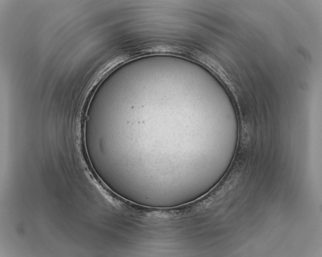 X0000112980898200909101712