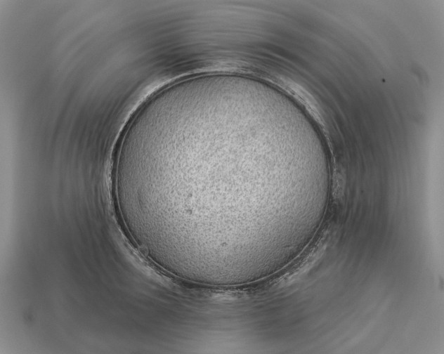 X0000112980899200909101712