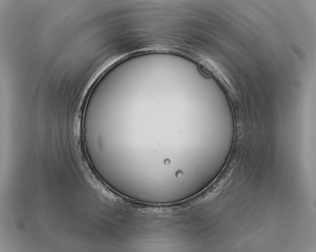 X0000112980900200909101712