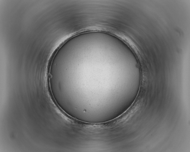 X0000112980902200909101712