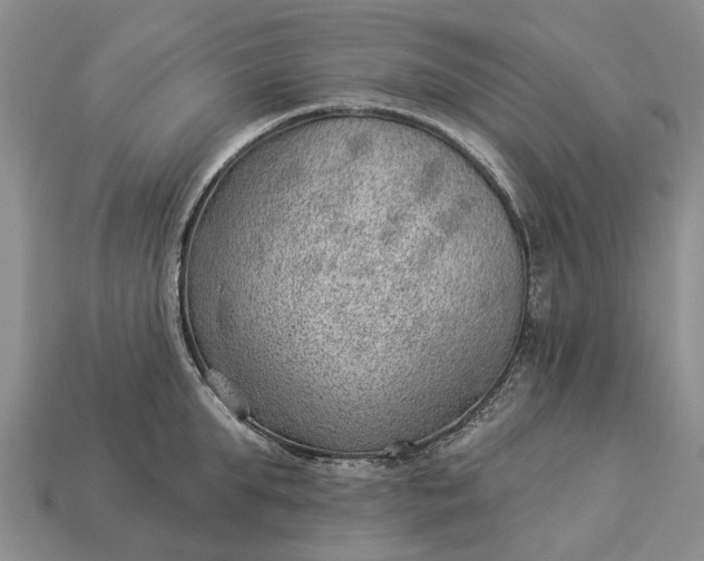 X0000112980903200909101712