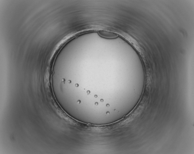 X0000112980904200909101712