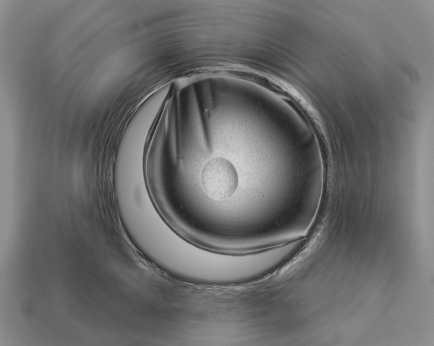 X0000112980905200909101712