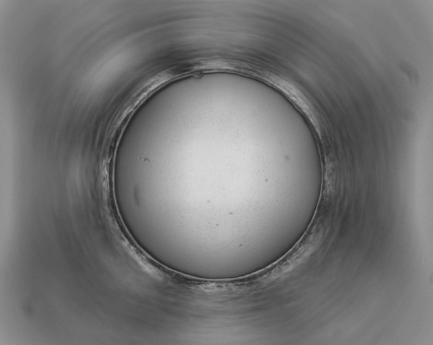 X0000112980906200909101712