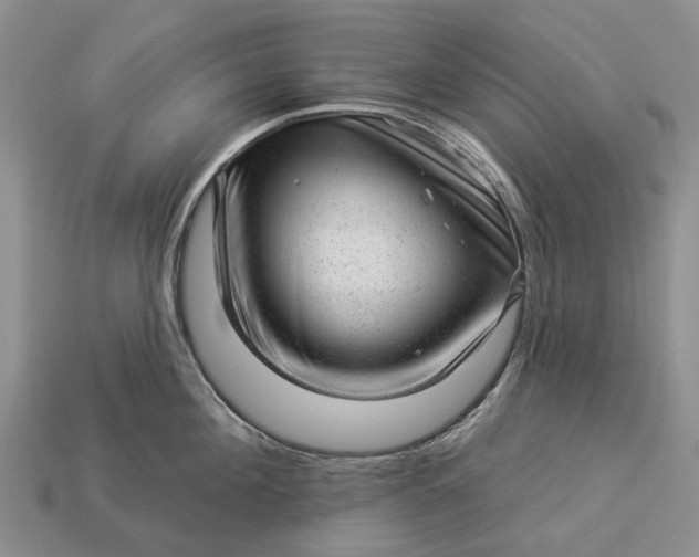 X0000112980908200909101712