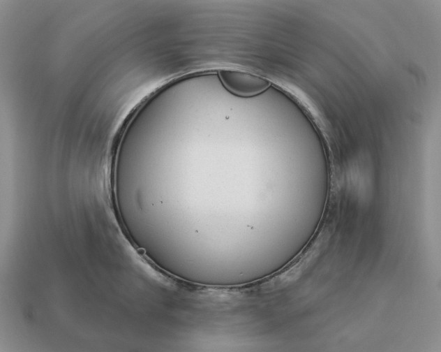 X0000112980910200909101712