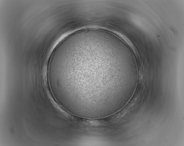 X0000112980911200909101712