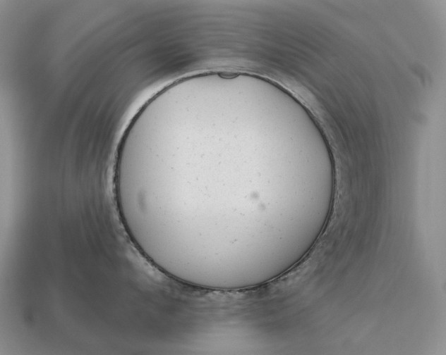 X0000112980912200909101712